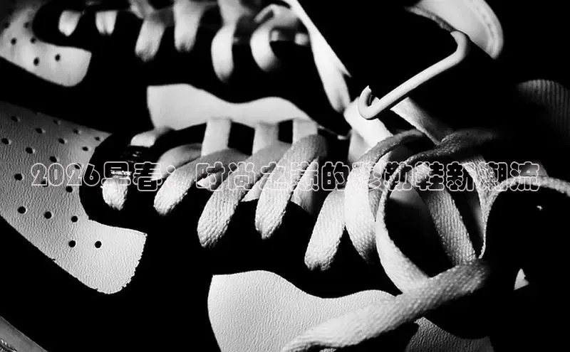 k1体育官网登录入口
